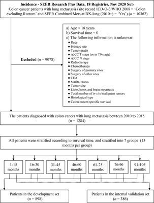 Development and validation of prediction models for the prognosis of colon cancer with lung metastases: a population-based cohort study